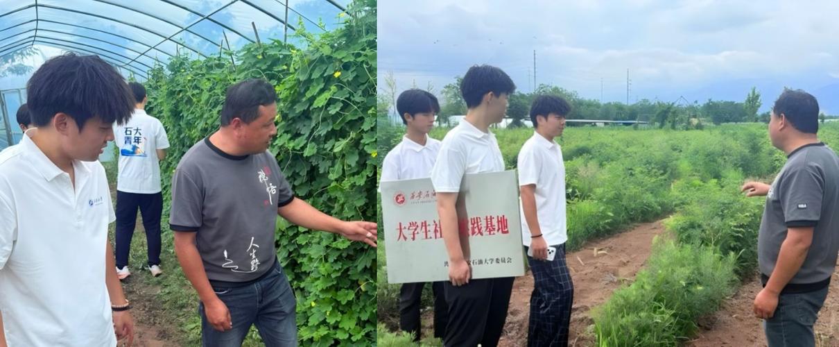 新航助农农场